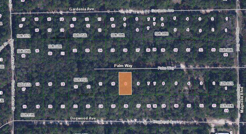 117 PALM WAY, Georgetown, FL 32139