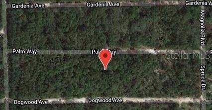 117 PALM WAY, Georgetown, FL 32139
