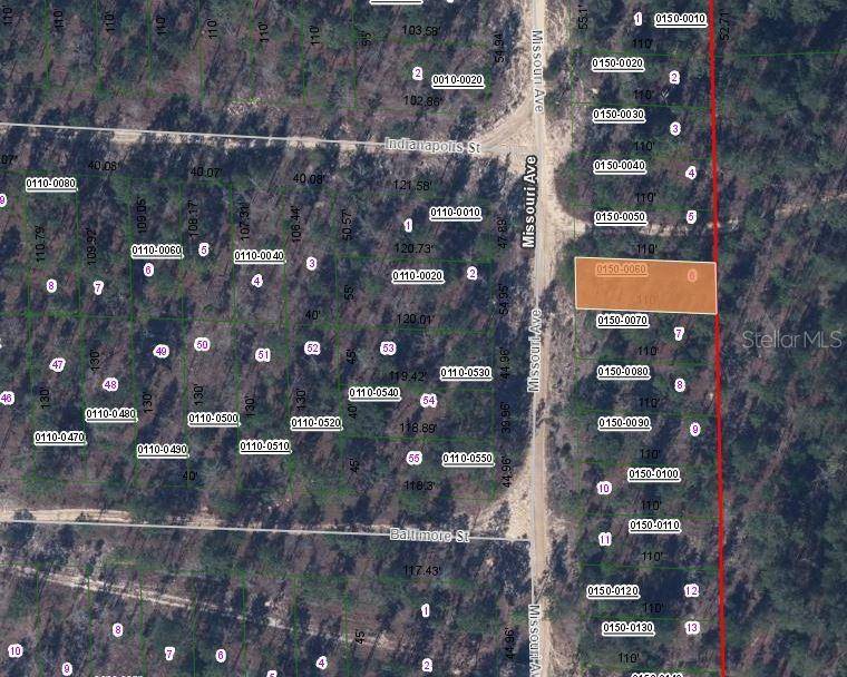156 MISSOURI AVE, Hawthorne, FL 32640
