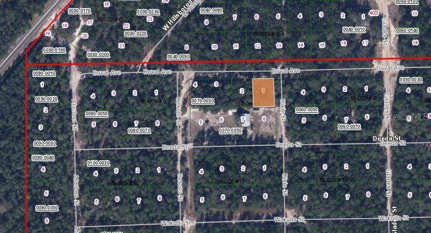 115 DUVAL AVE, Florahome, FL 32140