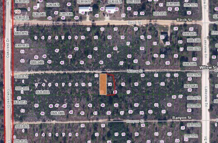 00 WILLOW ST ST, Interlachen, FL 32148