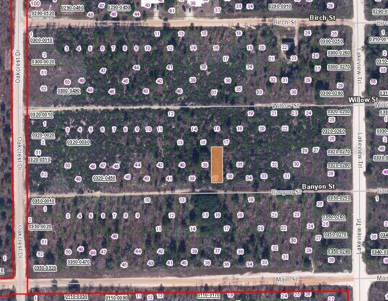 00 BANVON ST, Interlachen, FL 32148