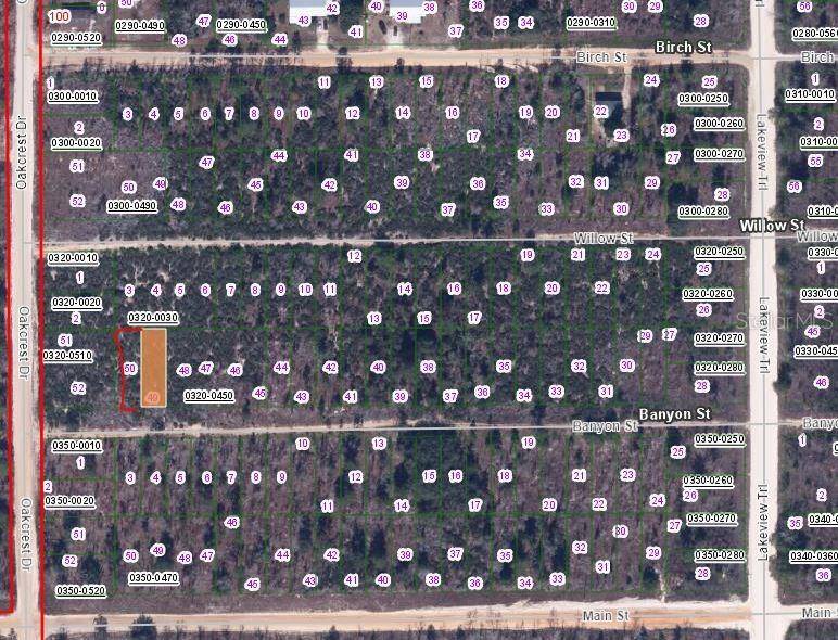 00 BANVON ST, Interlachen, FL 32148