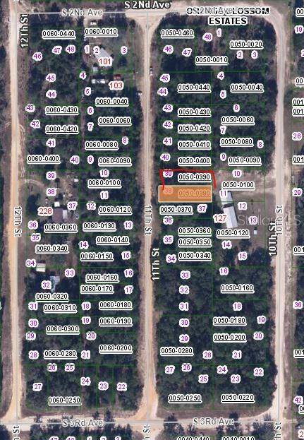 00 11TH ST, Interlachen, FL 32148