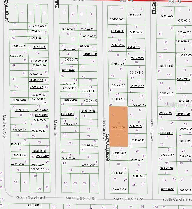 00 LOUISSIANA AVE, Hawthorne, FL 32640