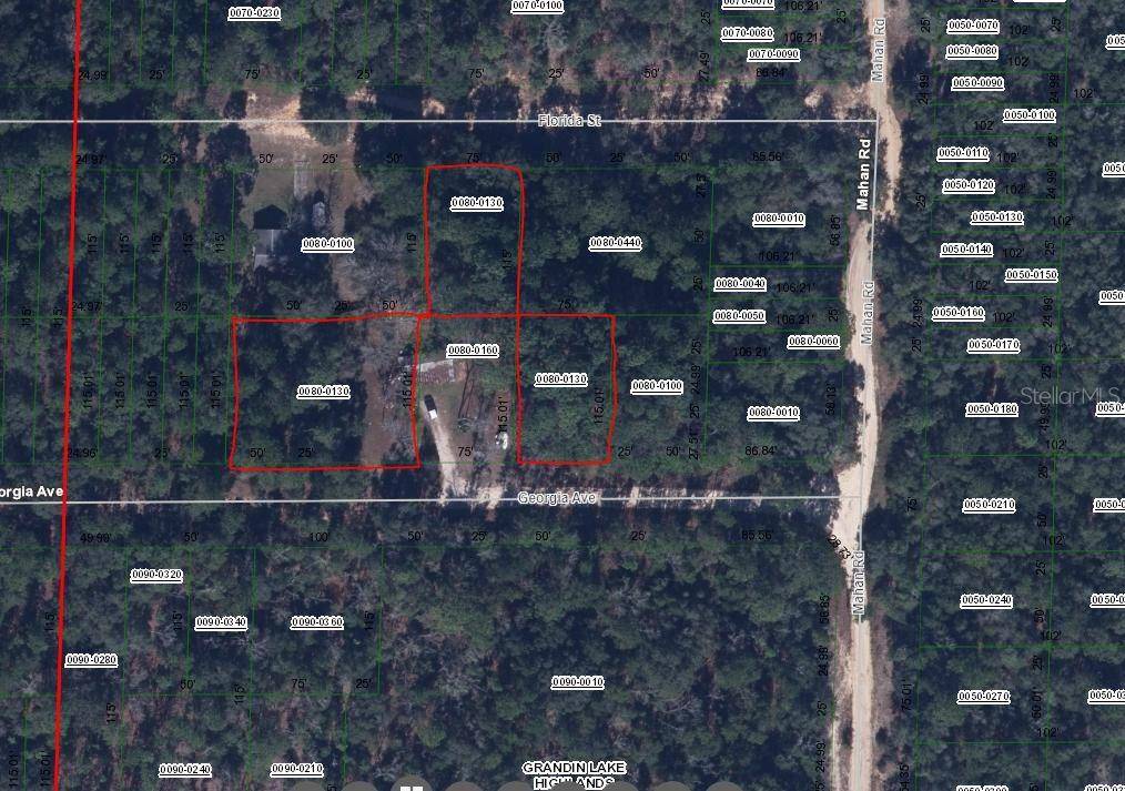00 GEORGIA AVE, Interlachen, FL 32148