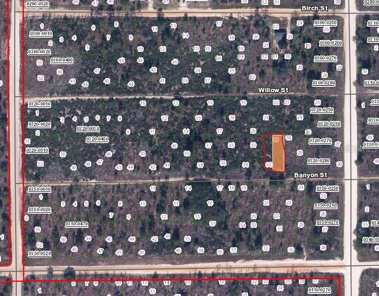 00 BANVON ST, Interlachen, FL 32148