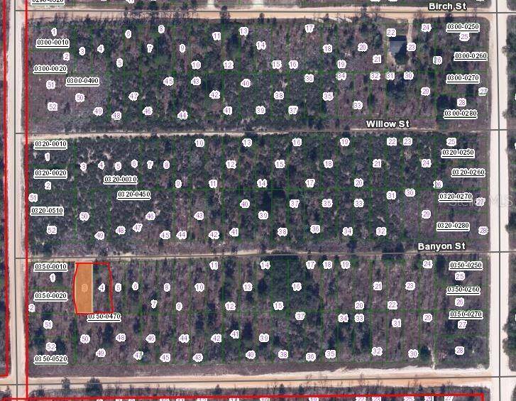 00 BANVON, Interlachen, FL 32148