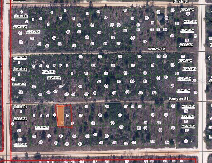 00 BANVON ST, Interlachen, FL 32148