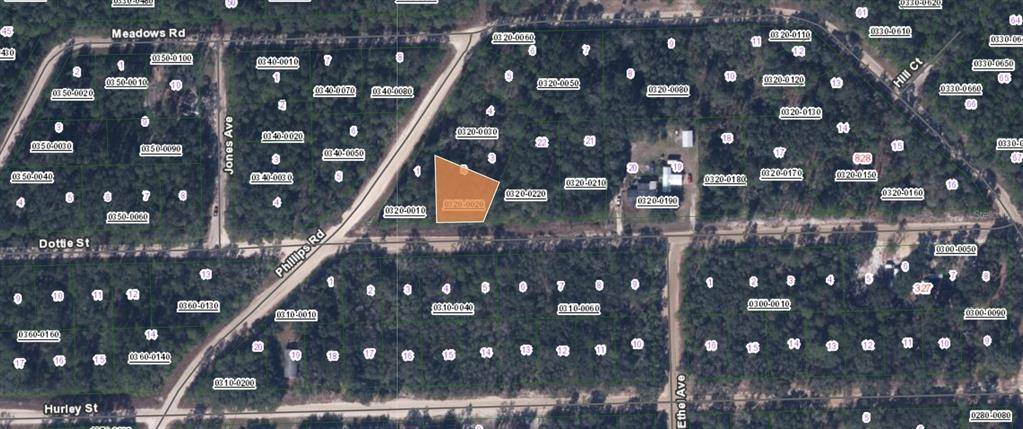 00 DOTTIE ST, Interlachen, FL 32148