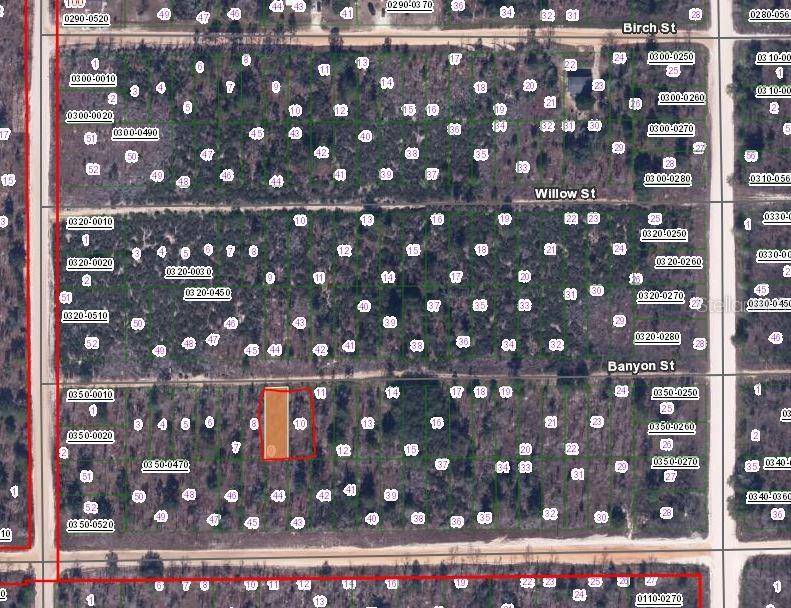 00 BANVON ST, Interlachen, FL 32148