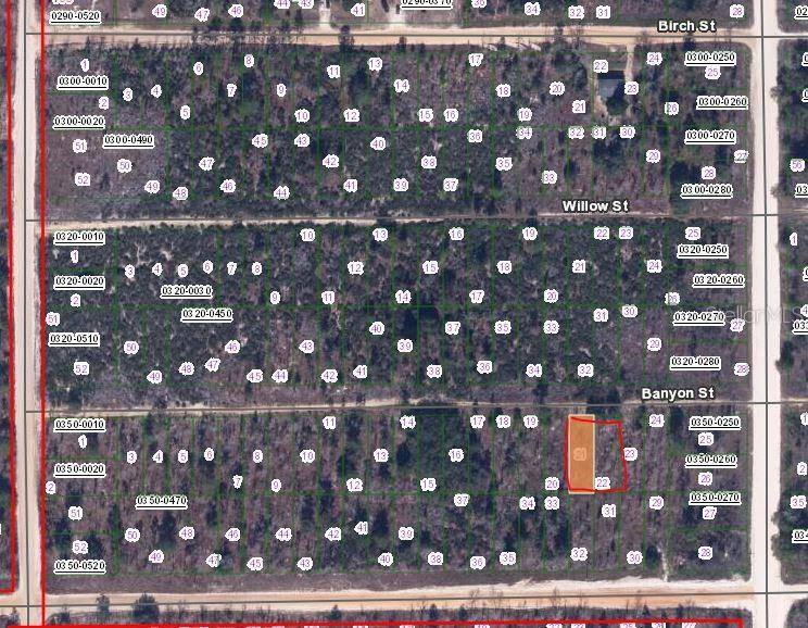 00 BANVON ST, Interlachen, FL 32148