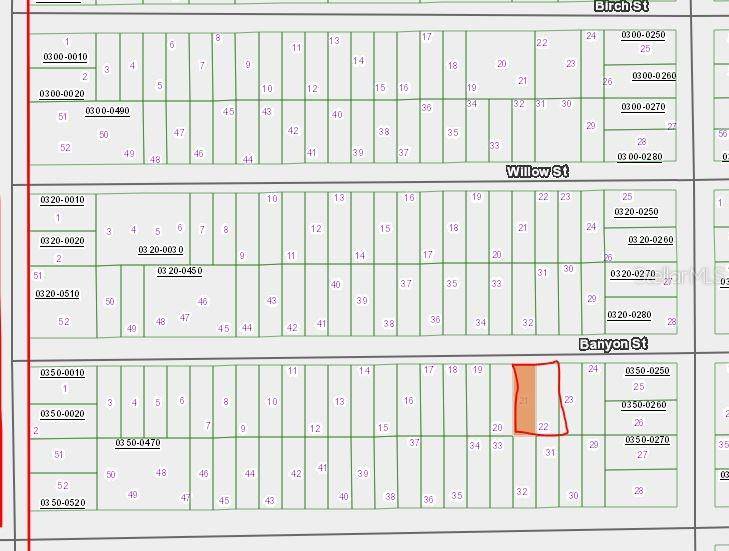 00 BANVON ST, Interlachen, FL 32148