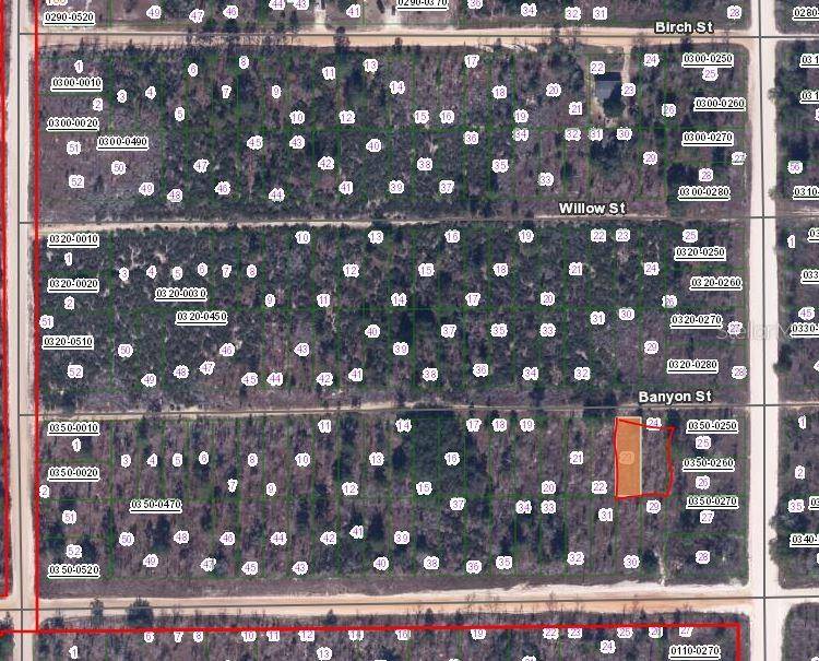 00 BANVON ST, Interlachen, FL 32148