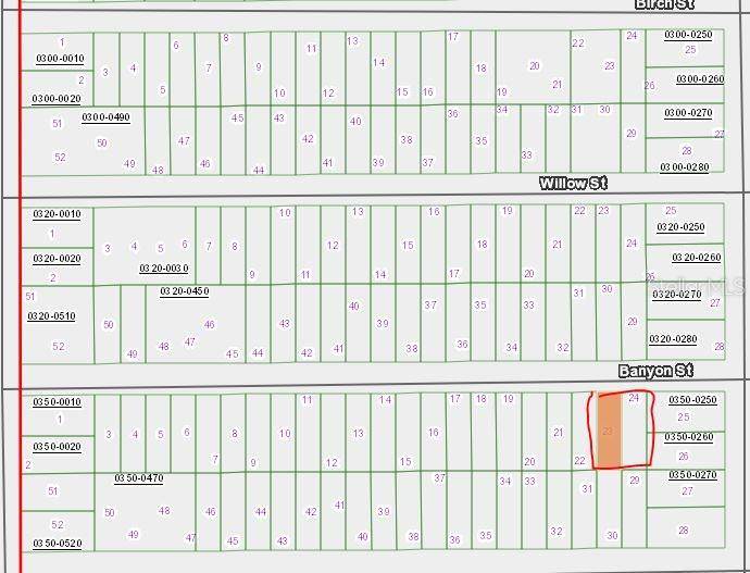 00 BANVON ST, Interlachen, FL 32148