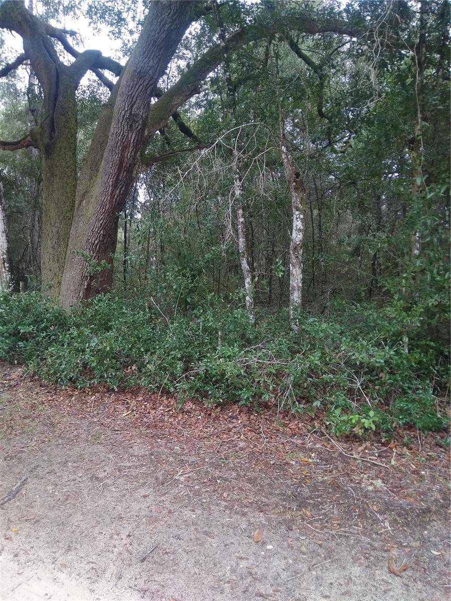 00 NE 147TH COURT, Silver Springs, FL 34488