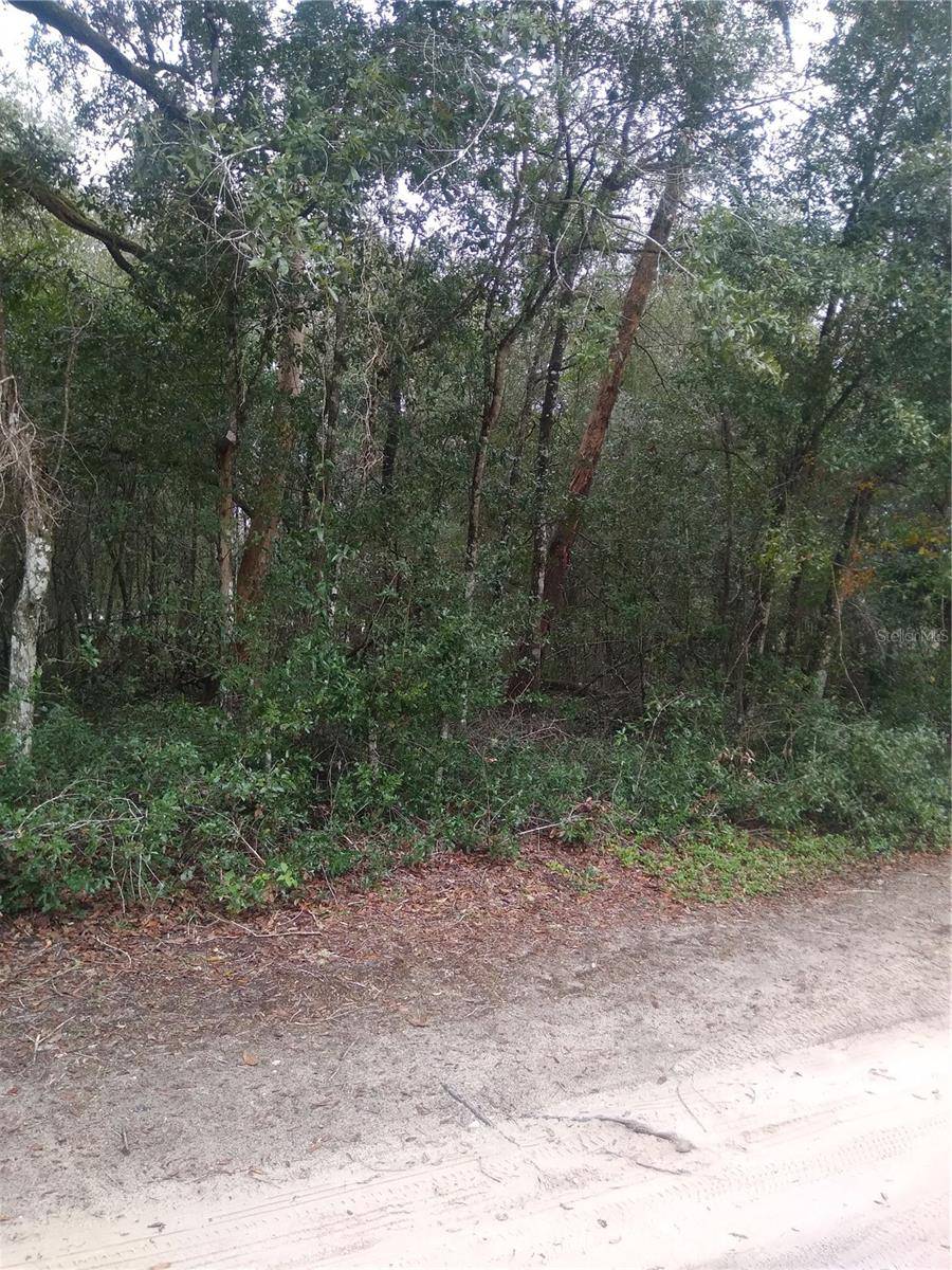00 NE 147TH COURT, Silver Springs, FL 34488