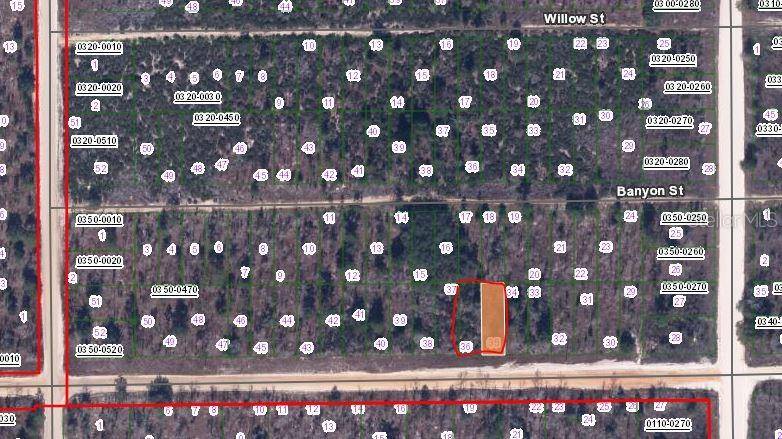 00 MAIN ST, Interlachen, FL 32148