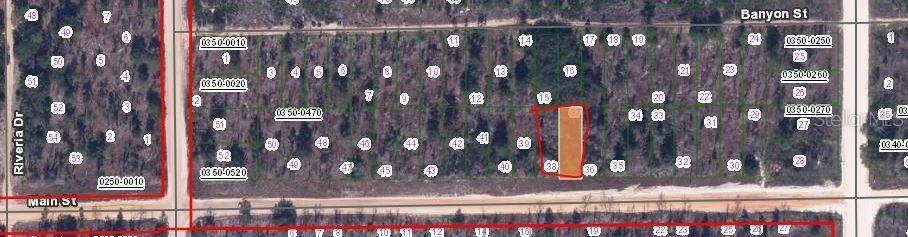 00 MAIN ST, Interlachen, FL 32148