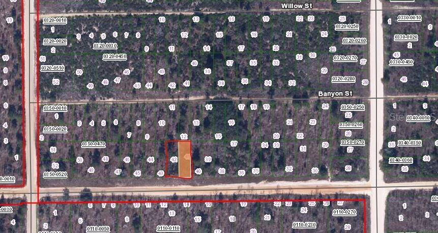 00 MAIN ST, Interlachen, FL 32148