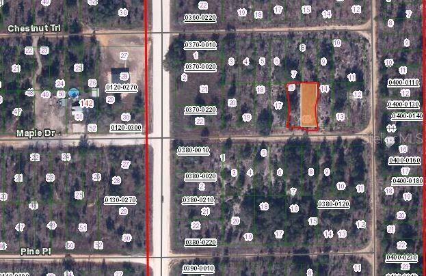 00 MAPLE DR, Interlachen, FL 32148
