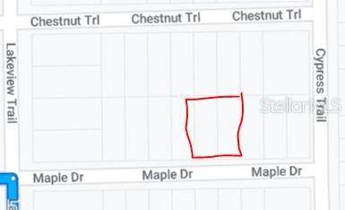 00 MAPLE DR, Interlachen, FL 32148