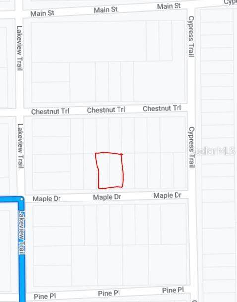00 MAPLE DR, Interlachen, FL 32148