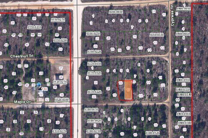 00 MAPLE DR, Interlachen, FL 32148