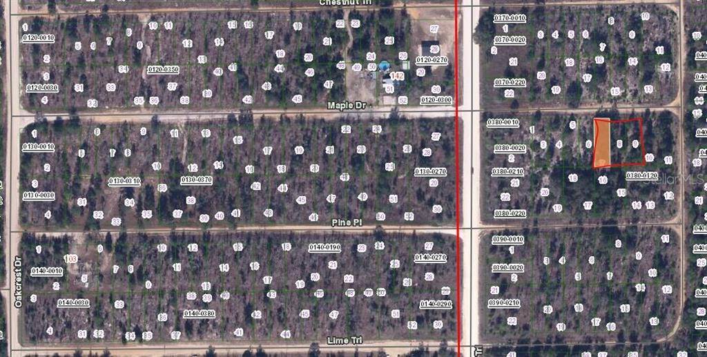 MAPLE DR, Interlachen, FL 32148