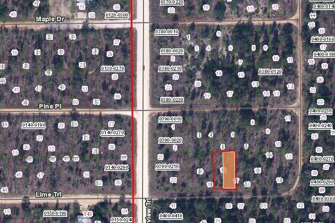 00 LIME ST, Interlachen, FL 32148