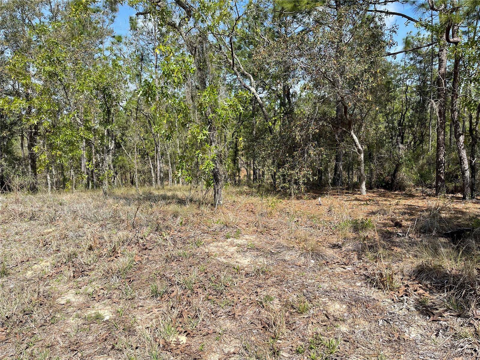 Lot 6 SE 2 ST, Williston, FL 32696