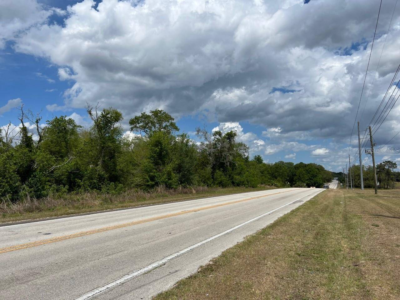 S HWY 25, Weirsdale, FL 32195