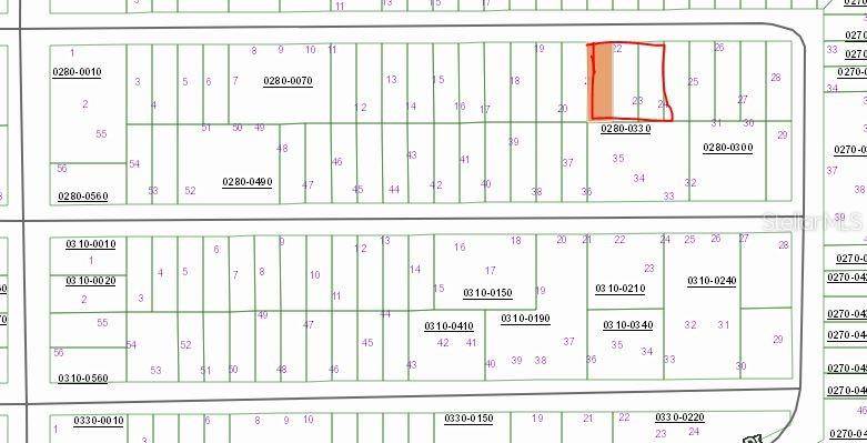 00 CHERRY ST, Interlachen, FL 32148