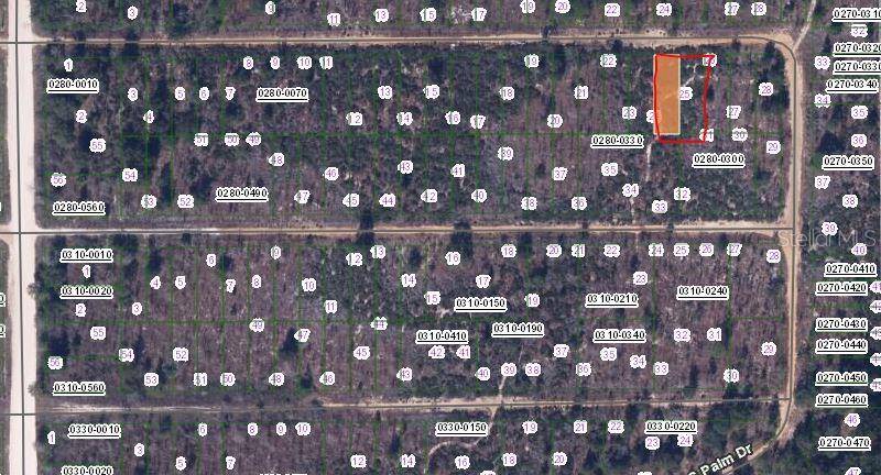 00 CHERRY ST, Interlachen, FL 32148