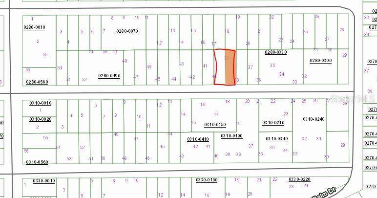 00 BIRCH ST, Interlachen, FL 32148