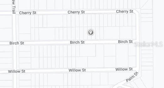 00 BIRCH ST, Interlachen, FL 32148