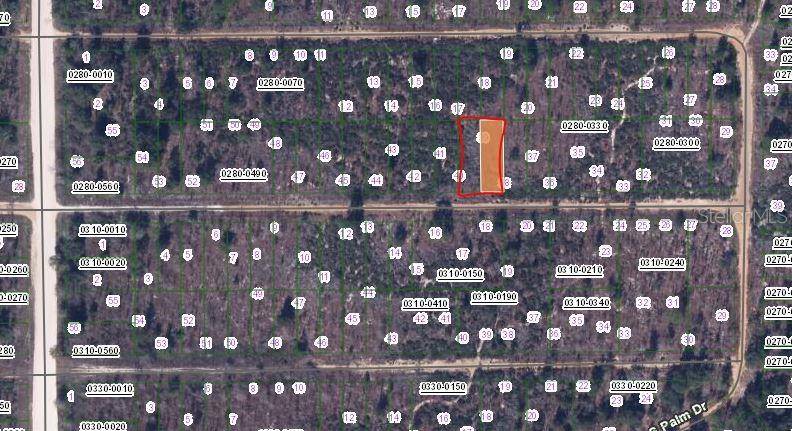 00 BIRCH ST, Interlachen, FL 32148
