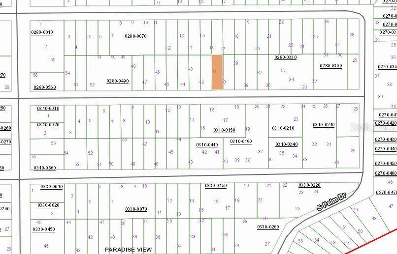 00 BIRCH ST, Interlachen, FL 32148