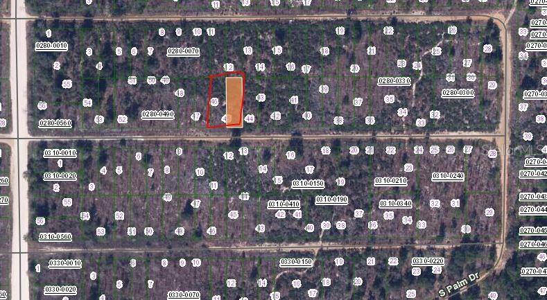 BIRCH ST, Interlachen, FL 32148