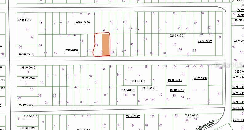 BIRCH ST, Interlachen, FL 32148