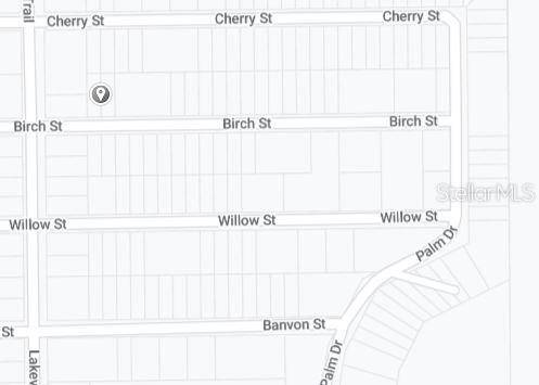 BIRCH ST, Interlachen, FL 32148