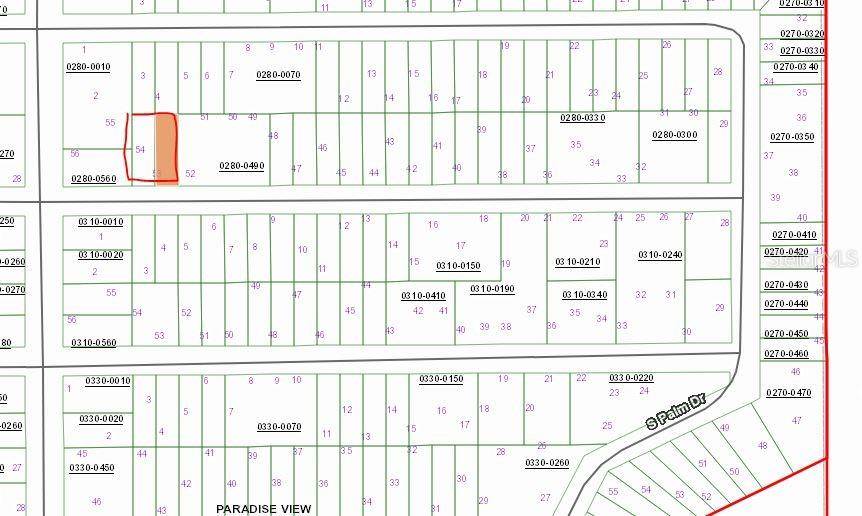 BIRCH ST, Interlachen, FL 32148