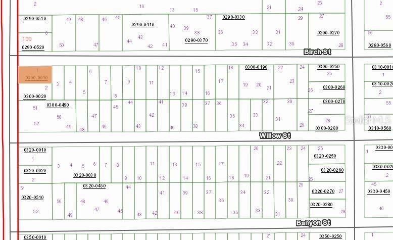 00 BIRCH ST, Interlachen, FL 32148