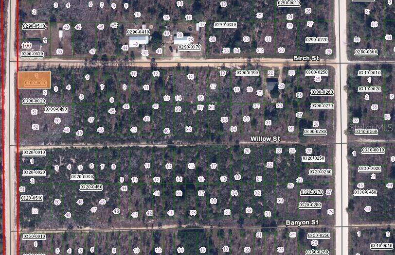 00 BIRCH ST, Interlachen, FL 32148