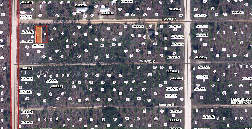 00 BIRCH ST, Interlachen, FL 32148