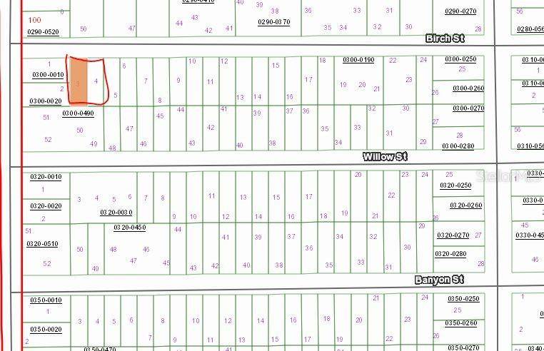 00 BIRCH ST, Interlachen, FL 32148