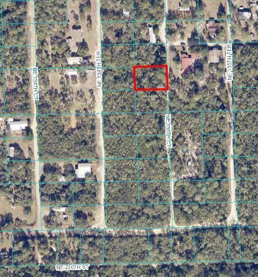 NE 155TH CT, Fort Mc Coy, FL 32134