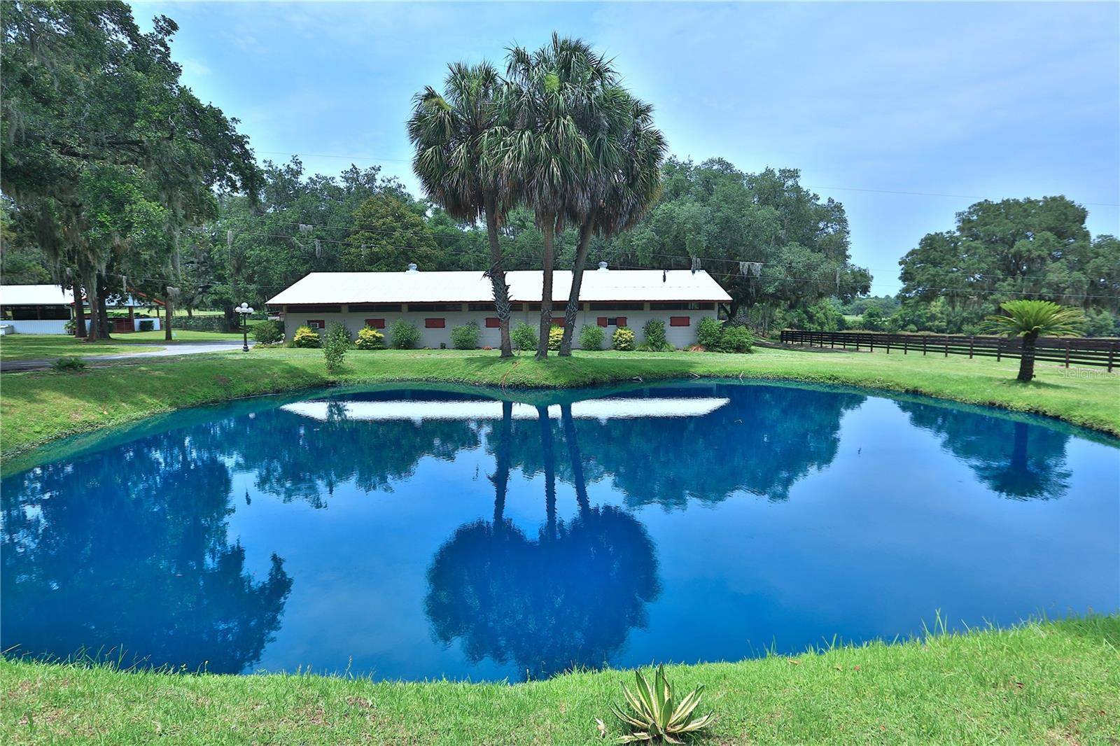 13450 NW GAINESVILLE RD, Reddick, FL 32686