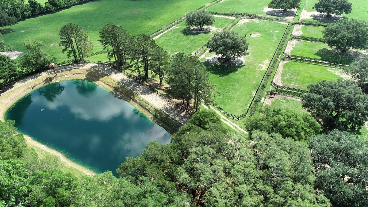 13450 NW GAINESVILLE RD, Reddick, FL 32686