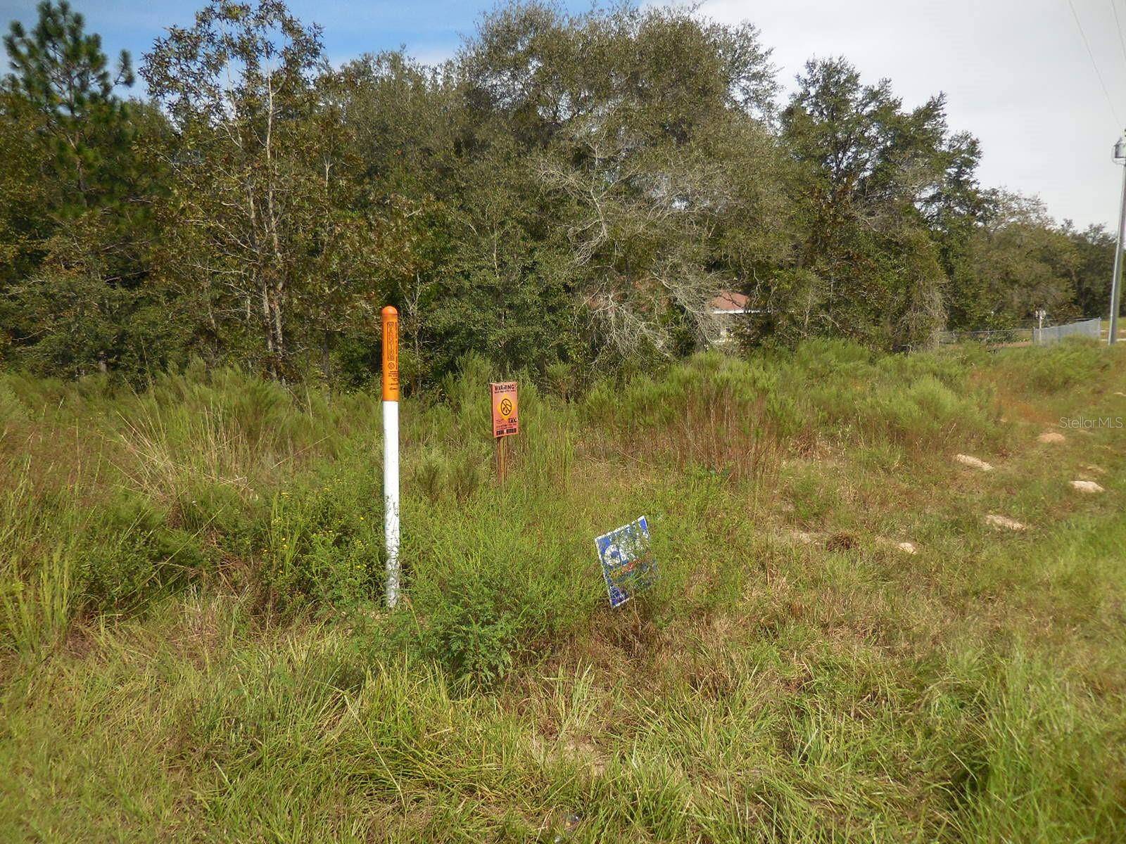 6291 NE 112TH TER, Williston, FL 32696